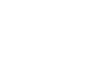 Logo of The Wise Duck Dev GPTs, the ultimate custom GPT library for developers