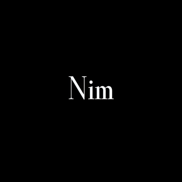 Logo of Nim Website Builder GPT, an AI tool aiding developers in creating responsive, animated websites with Nim template.